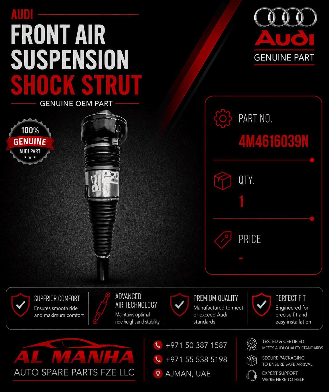 Audi front aur suspension shock strut